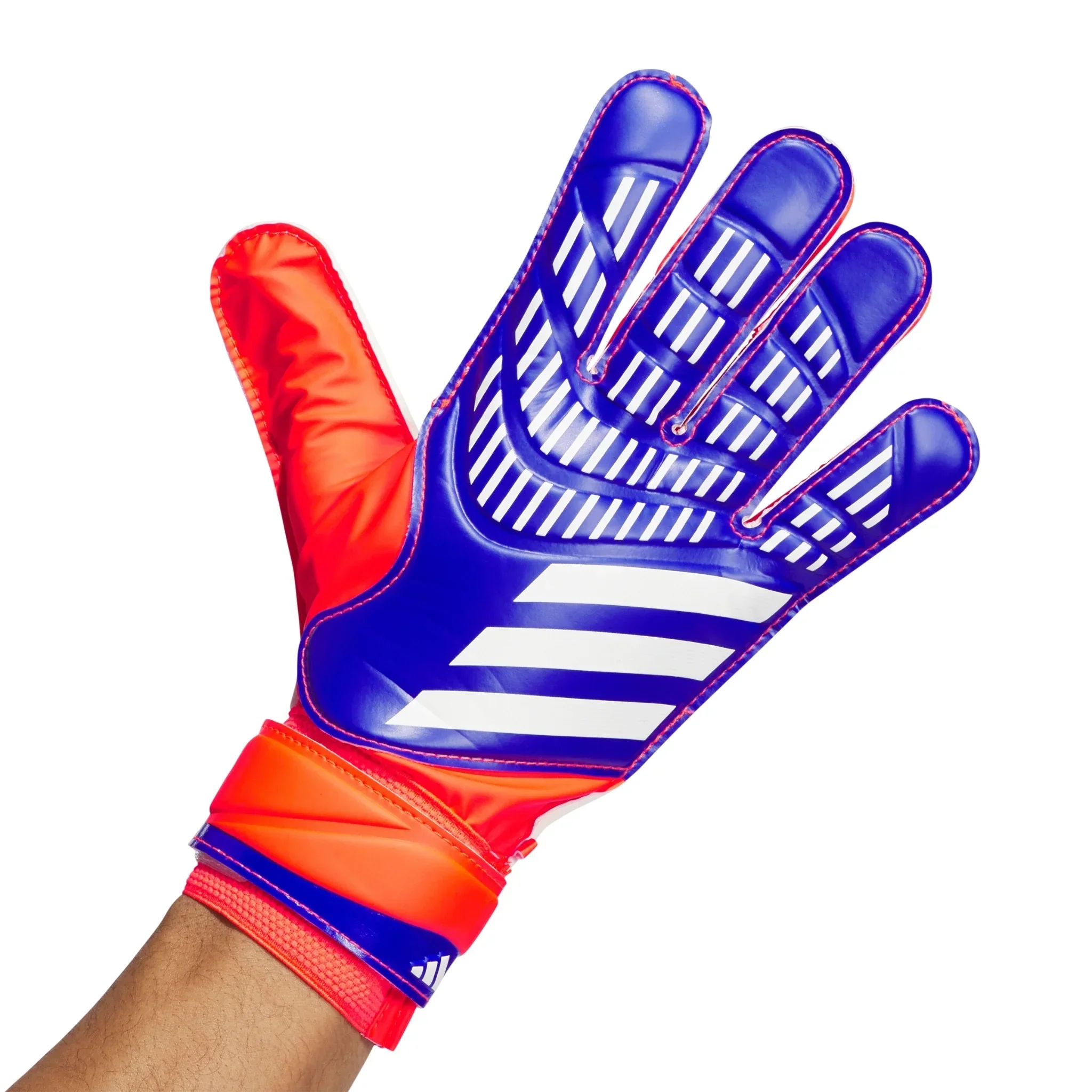Thumb 2